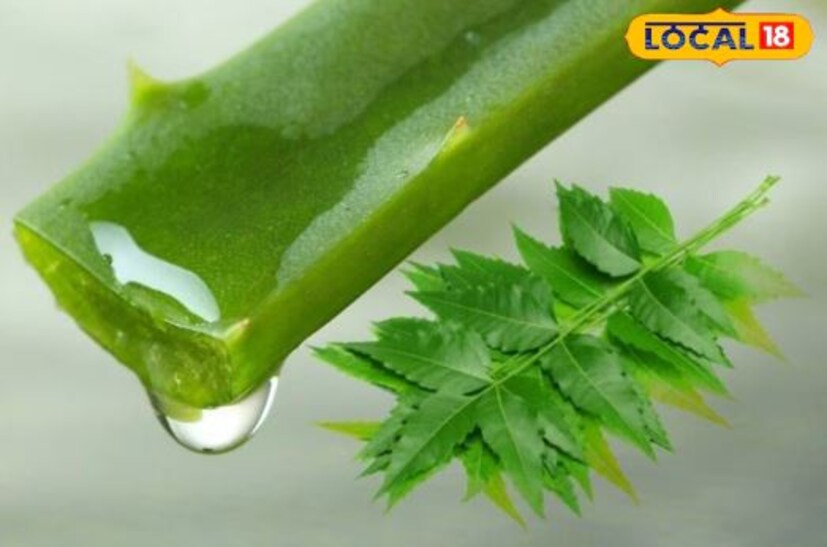 মাস্কটি চুলে ২৫ থেকে ৩০ মিনিটের জন্য রেখে দিতে হবে। তারপর হালকা গরম জল দিয়ে সেই চুল ধুয়ে ফেলতে হবে। নিম পাতায় প্রচুর পরিমাণে অ্যান্টি-ব্যাকটেরিয়াল এবং অ্যান্টি-ফাঙ্গাল বৈশিষ্ট্য রয়েছে, যা চুলের গোড়া পরিষ্কার করতে সাহায্য করে, যা খুশকি এবং চুলকানি থেকে মুক্তি দেয়।