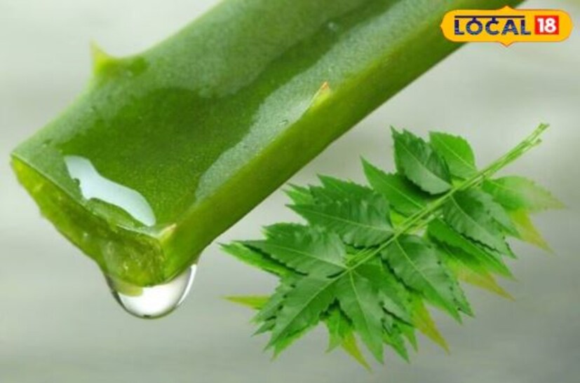 সপ্তাহে একবার এই মাস্কটি লাগাতে হবে। এটি শুধু চুলকে সুস্থ ও মজবুতই করে না, একই সঙ্গে এটি চুল পড়া রোধও করে। এছাড়া এটি চুলের দ্রুত বৃদ্ধিরও সহায়ক।