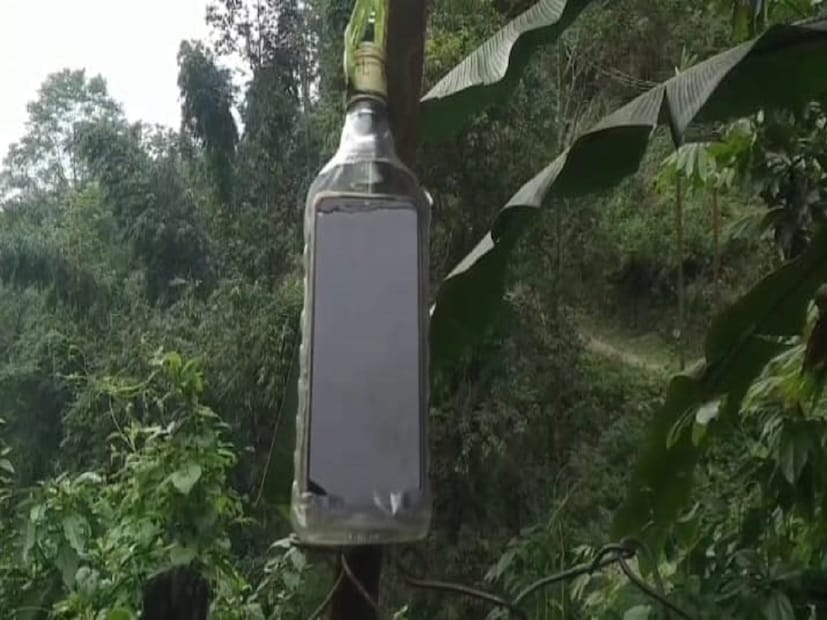পাহাড়ে ভিউ পয়েন্টে অনেকে গেছেন আবার অনেকেই দেখেছেন।কিন্তু মোবাইল ভিউ পয়েন্ট দেখেছেন কখনও? মোবাইলের সিগন্যাল খুঁজতে ভিউ পয়েন্টে যেতে হয় ১৩টি গ্রামের বাসিন্দাকে। পাহাড়ের কোলে মোবাইল পয়েন্ট বক্সা পাহাড়ে, সিগন্যাল পেতে নির্দিষ্ট জায়গায় ঝুলিয়ে রাখতে হয় মোবাইল। তারপরেই মেলে নেটওয়ার্ক।