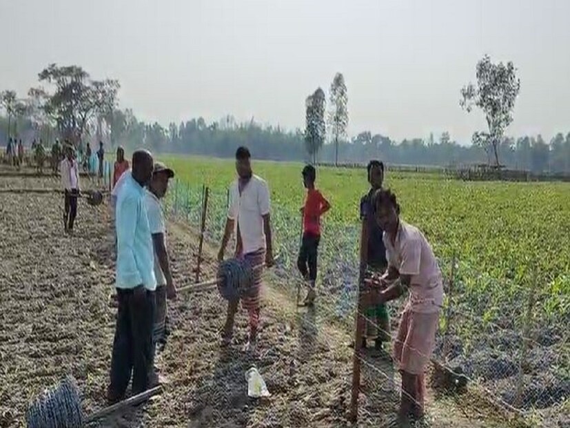 শেষ পর্যন্ত বিএসএফ এবং স্থানীয় গ্রামবাসীদের সম্মিলিত চাপের সামনে পিছু হঠে বিজিবি এবং বাংলাদেশি নাগরিকরা৷ নিজেদের এলাকায় ফিরে যান তাঁরা৷ 