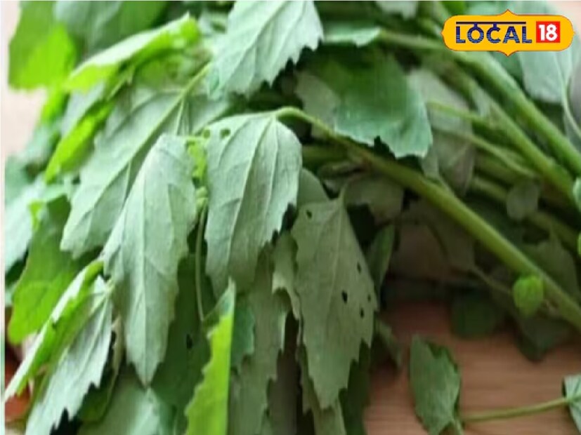 বেতো শাক দিয়ে রুটি, পুরি, রায়তা বা শাক বানিয়ে খাওয়া যায়। এছাড়া তাজা বেতো শাকের পাতার রস প্রতিদিন পান করলে কিডনির পাথর ও পেটের কৃমি দূর করতে সাহায্য করে।