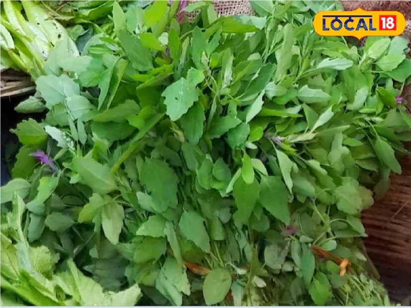 কৃষি বিজ্ঞান কেন্দ্র নিয়ামতপুরে গার্হস্থ্য বিজ্ঞান বিশেষজ্ঞ ড বিদ্যা গুপ্তা জানান, বেতো শাকে প্রচুর পরিমাণে ভিটামিন বি১, বি৩, বি৫, ভিটামিন সি, ক্যালসিয়াম, ম্যাঙ্গানিজ, আয়রন, ফসফরাস, ম্যাঙ্গানিজ এবং ভিটামিন এ পাওয়া যায়। যার কারণে এটি স্বাস্থ্যের জন্য খুবই উপকারি বলে মনে করা হয়। বাথুয়া শাকও রোগ প্রতিরোধ ক্ষমতা বাড়ায়।