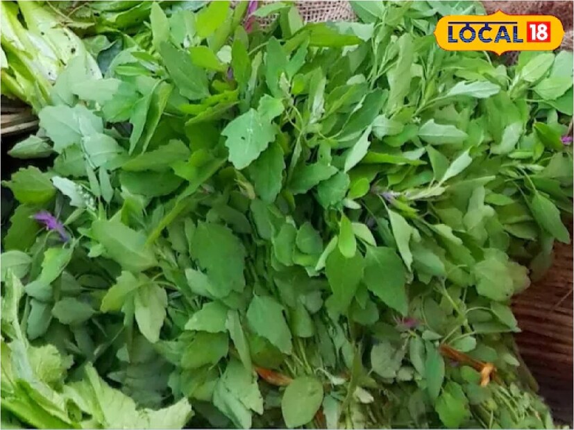 বেথুয়া শাক জলে সিদ্ধ করে সেই জল দিয়ে ত্বক ধুয়ে নিলে চর্মজনিত রোগ থেকে মুক্তি পাওয়া যায়। শুধু তাই নয়, বাথুয়ায় পাওয়া আয়রন মহিলাদের রক্তাল্পতার জন্য ক্ষতিপূরণ দেয়। বেতো শাকে পাওয়া ভিটামিন এ দৃষ্টিশক্তি বাড়াতে সাহায্য করে।