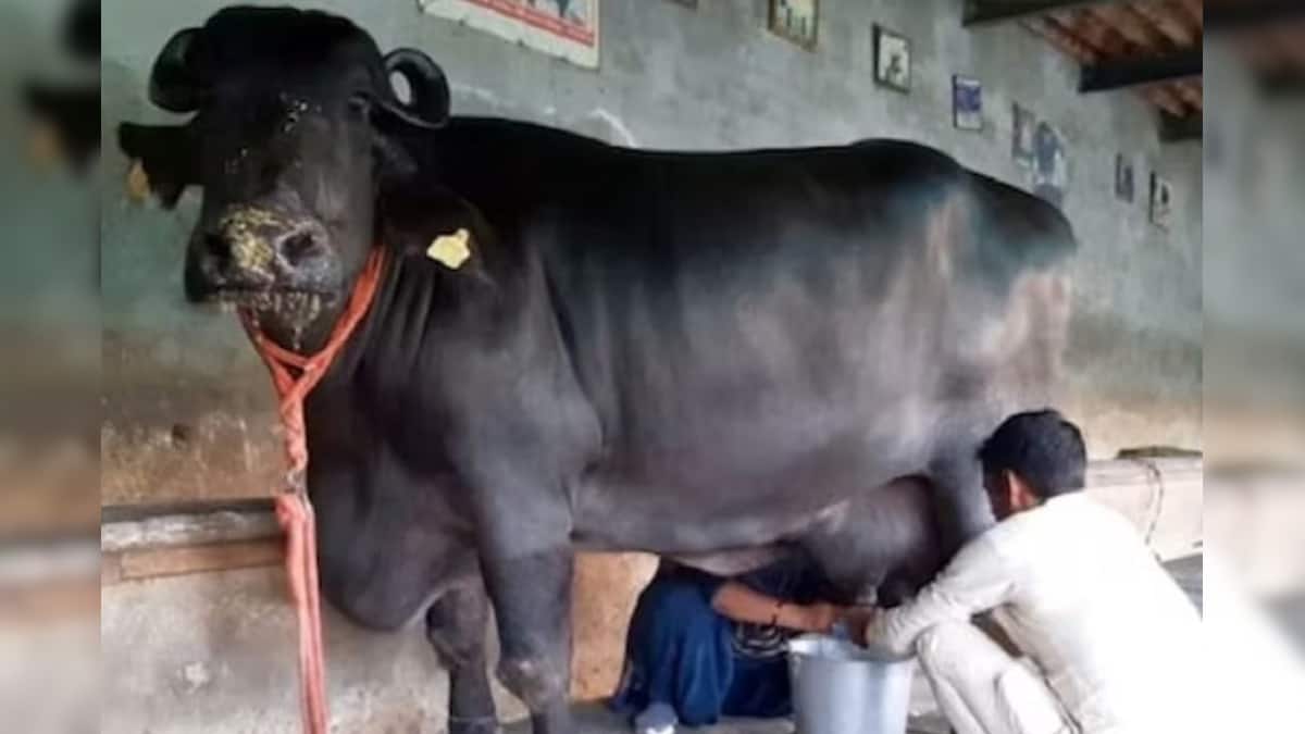 দুধ-বিভ্রাটের জেরে ব্যাপক হইচই ! কাতারে কাতারে হাসপাতালে ছুটলেন গ্রামবাসীরা, তারপর যা হল…