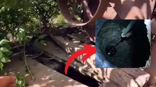 ১০০ বছরের পুরনো এই কুয়োর ভিতরে ক্যামেরা ধরতেই ভয়ঙ্কর দৃশ্য! জলের মধ্যে ওগুলো কী...? শিউরে উঠবেন    