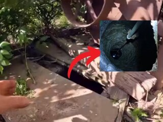 ১০০ বছরের পুরনো এই কুয়োর ভিতরে ক্যামেরা ধরতেই ভয়ঙ্কর দৃশ্য! জলের মধ্যে ওগুলো কী...? শিউরে উঠবেন    