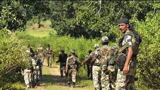 ফাইল ছবি, পিটিআই৷ 