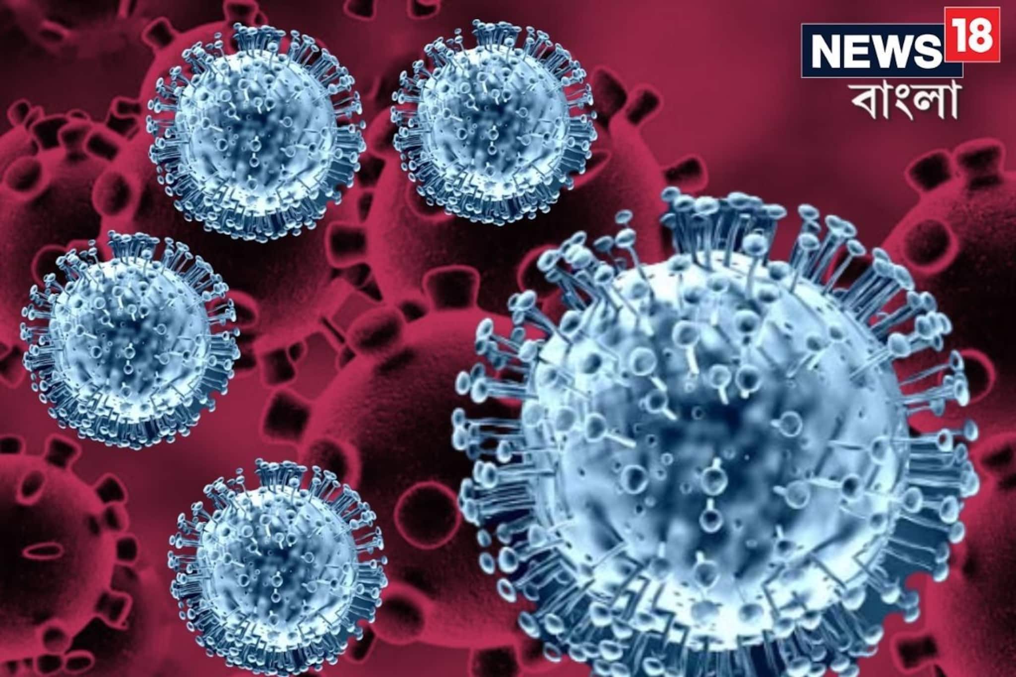 শুধু শিশুরা নয়, এবার বৃদ্ধের শরীরেও থাবা বসাল এইচএমপিভি, কোন শহরের বাসিন্দা তিনি