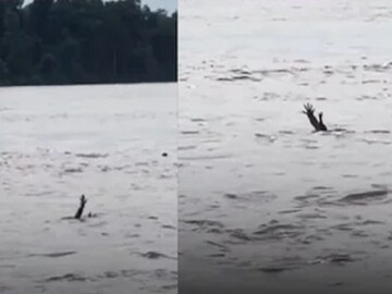 জলে ভাসছে দুটো হাত, কে ডুবে যাচ্ছে? বাঁচাতে গেলেই ভবলীলা সাঙ্গ (Photo: Instagram)
