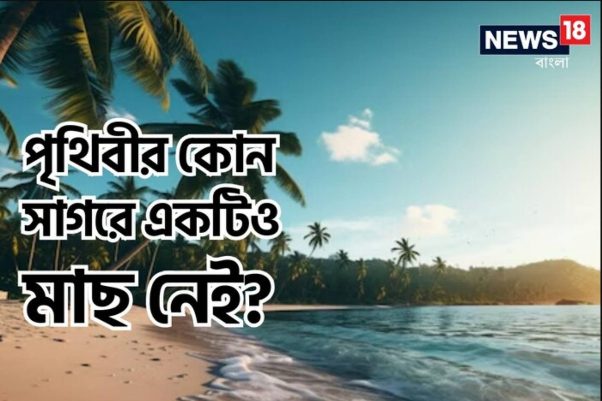 GK: কোন সাগরে একটিও মাছ নেই? উত্তর দিতে পারলে আপনি জিনিয়াস