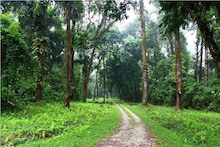 Travel News: কলকাতার একদম কাছেই রয়েছে মিনি 'ডুয়ার্স'! বছরভর উপচে পড়ে অগণিত মানুষের ভিড়, কোথায় জানেন?