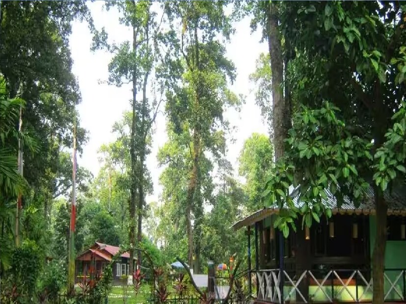 *তবে, এই নতুন সিদ্ধান্তে যে ডুয়ার্সের প্রতি পর্যটকদের আগ্রহ আরও বাড়বে, তাতে সন্দেহ নেই। বিশেষ করে, ডুয়ার্সের সুন্দর প্রকৃতি এবং বন্যপ্রাণ জীবনের দিকে আগ্রহী পর্যটকরা আরও বেশি আসবেন, ফলে স্থানীয় অর্থনীতি ও পর্যটন ব্যবসা নতুন উদ্যমে এগিয়ে যাবে। মাত্র ৩০০-৪০০  মতো টাকাতেই জঙ্গলের ঘোরা হয়ে যাবে বলেই জানাচ্ছেন ব্যবসায়ীদের একাংশ বিভিন্ন জায়গায় বিভিন্ন খরচ হতে পারে সেই কারণে এই টাকার অংশ। ফাইল ছবি।