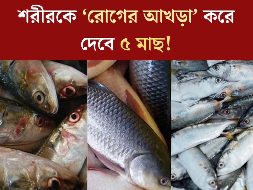 মাছে, ভাতে বাঙালি। মাছ ছাড়া দুপুরের খাওয়ারের কথা ভাবতেই পারে না বেশিরভাগ পরিবার। প্রোটিনের অন&#x200d;্যতম সেরা উত্&#x200d;স হল মাছ। চিকিত্&#x200d;সকরাও মাছ খাওয়ার পরামর্শ দিয়ে থাকেন। 