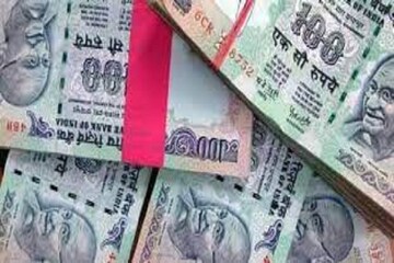 হাতি তাড়ানোর পাশাপাশি দ্বিগুণ আয়ের জন‍্য মৌমাছি চাষ কালচিনিতে