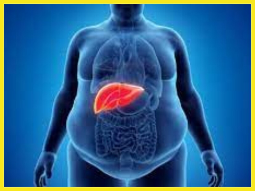 প্রতিদিন আপেল খেলে কোলেস্টেরল, ব্লাডপ্রেশারের স্তর নিয়ন্ত্রিত করে, চোখ রাখে অত্যন্ত পরিমাণে ভাল রাখে, হাড় মজবুত করে ৷ প্রতীকী ছবি ৷