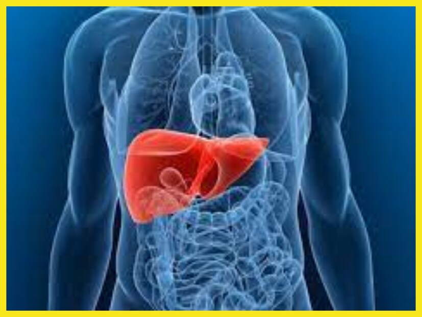 কমলালেবুতে প্রচুর পরিমাণে ভিটামিন সি, এ, পটাশিয়াম, ফোলেট, ম্যাগনেশিয়াম, প্রোটিন, খনিজ, প্রোটিন, শর্করা, গ্যাস ও অম্বল দূর করে ৷ প্রতীকী ছবি ৷