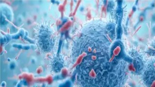 সবার আগে কলকাতায় ঢোকে HMPV ভাইরাস! ২ মাস আগেই ধরা পড়ে কলকাতায়, সর্বনাশ! যা দেখলে সতর্ক হবেনই