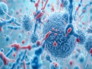 সবার আগে কলকাতায় ঢোকে HMPV ভাইরাস! ২ মাস আগেই ধরা পড়ে কলকাতায়, সর্বনাশ! যা দেখলে সতর্ক হবেনই সবার আগে কলকাতায় ঢোকে HMPV ভাইরাস! ২ মাস আগেই ধরা পড়ে কলকাতায়, সর্বনাশ! যা দেখলে সতর্ক হবেনই