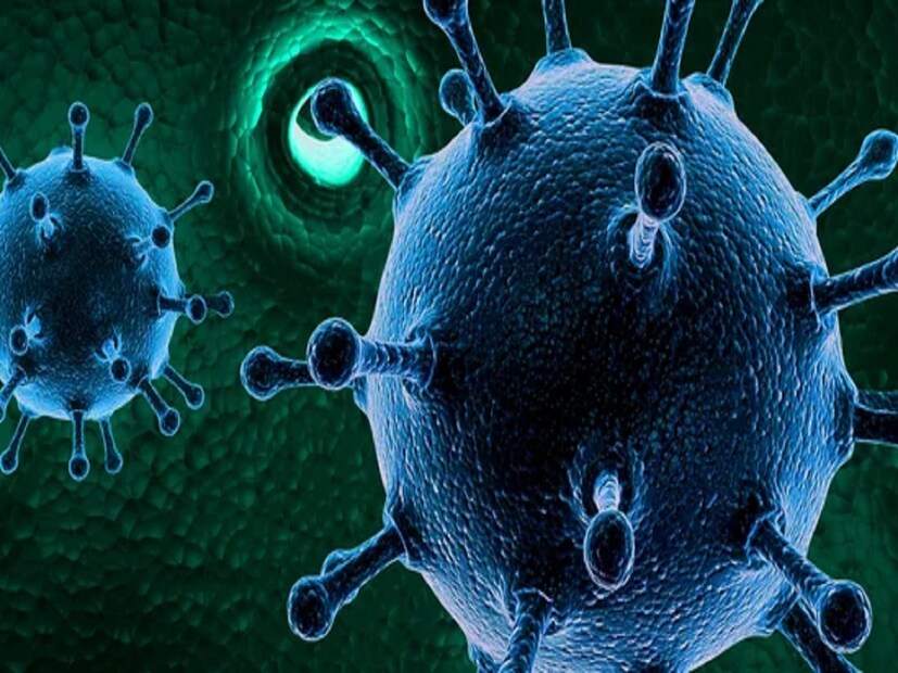 HMPV outbreak, China, Health Ministry, viruses in circulation, viral infections, HMPV virus, respiratory infections, health alert, HMPV transmission, health concerns, virus spread, India health advisory, viral outbreak, unusual viruses, HMPV symptoms, Chinese virus outbreak, public health, এইচএমপিভি প্রাদুর্ভাব, চীন, স্বাস্থ্য মন্ত্রণালয়, ভাইরাস প্রচলনে রয়েছে, ভাইরাল সংক্রমণ, এইচএমপিভি ভাইরাস, শ্বাসযন্ত্রের সংক্রমণ, স্বাস্থ্য সতর্কতা, এইচএমপিভি সংক্রমণ, স্বাস্থ্য উদ্বেগ, ভাইরাস ছড়ানো, ভারতীয় স্বাস্থ্য পরামর্শ, ভাইরাল প্রাদুর্ভাব, অস্বাভাবিক ভাইরাস, এইচএমপিভি উপসর্গ, চীনা ভাইরাস প্রাদুর্ভাব, জনস্বাস্থ্য, HMPV,China,virus outbreak,influenza A,Mycoplasma pneumoniae,pneumonia,respiratory diseases, China New Virus HMPV News, China News, China Virus, Covid19, HMPV Virus, Human metapneumovirus, China COVID-19, human metapneumovirus, mysterious virus China, human metapneumovirus, HMPV RNA virus, What is HMPV