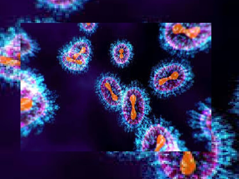 সোমবার সকালে, ভারতে ধরা পড়ল প্রথম Human Metapneumovirus (HMPV) পজিটিভ রোগী৷ বেঙ্গালুরুতে ৮ মাস বয়সি এক শিশুর দেহে এই জীবাণুর সক্রিয় অস্তিত্ব ধরা পড়েছে৷ শহরের ব্যাপ্টিস্ট হাসপাতালে তার চিকিৎসা চলছে৷ তবে চিনে যে HMPV জীবাণুর সংক্রমণ ছড়াচ্ছে, সেটা বেঙ্গালুরুর আক্রান্ত শিশুর দেহের ভাইরাস একই কিনা, সে বিষয়ে কোনও নিশ্চয়তা মেলেনি৷