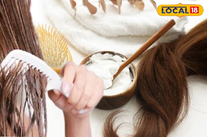 বর্তমান সময়ে চুল নিয়ে যত্নবান কমবেশি প্রায় আমরা প্রত্যেকেই। আর গুরুত্ব রেখে বাজারে নামিদামি কোম্পানির বিভিন্ন প্রোডাক্ট উপলব্ধ রয়েছে। ইচ্ছা থাকলেও অনেক সময় উপায় হয় না পকেটের টান পড়ে। নিয়মিত চুলের পরিচর্চা করতে পারেন এই নিয়মে প্রায় নিখরচায়।