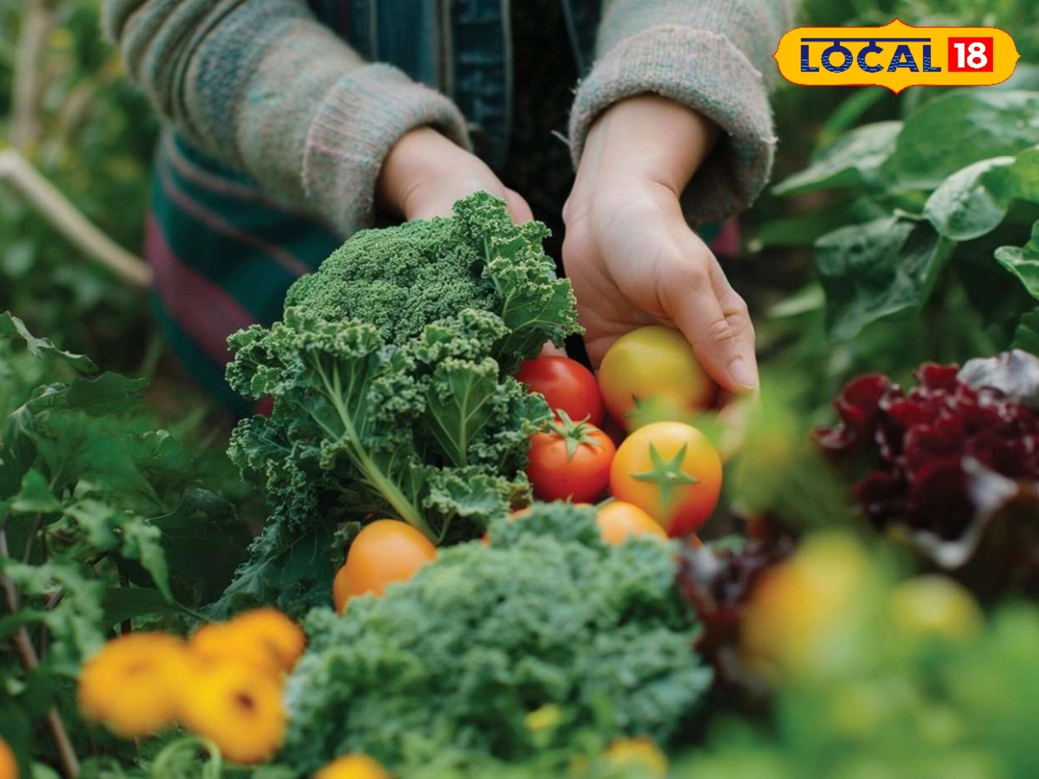 করতে হবে না চাকরি, বাড়ি বসেই রোজগার করুন মোটা টাকা, তবে মাথায় রাখুন এই নিয়ম