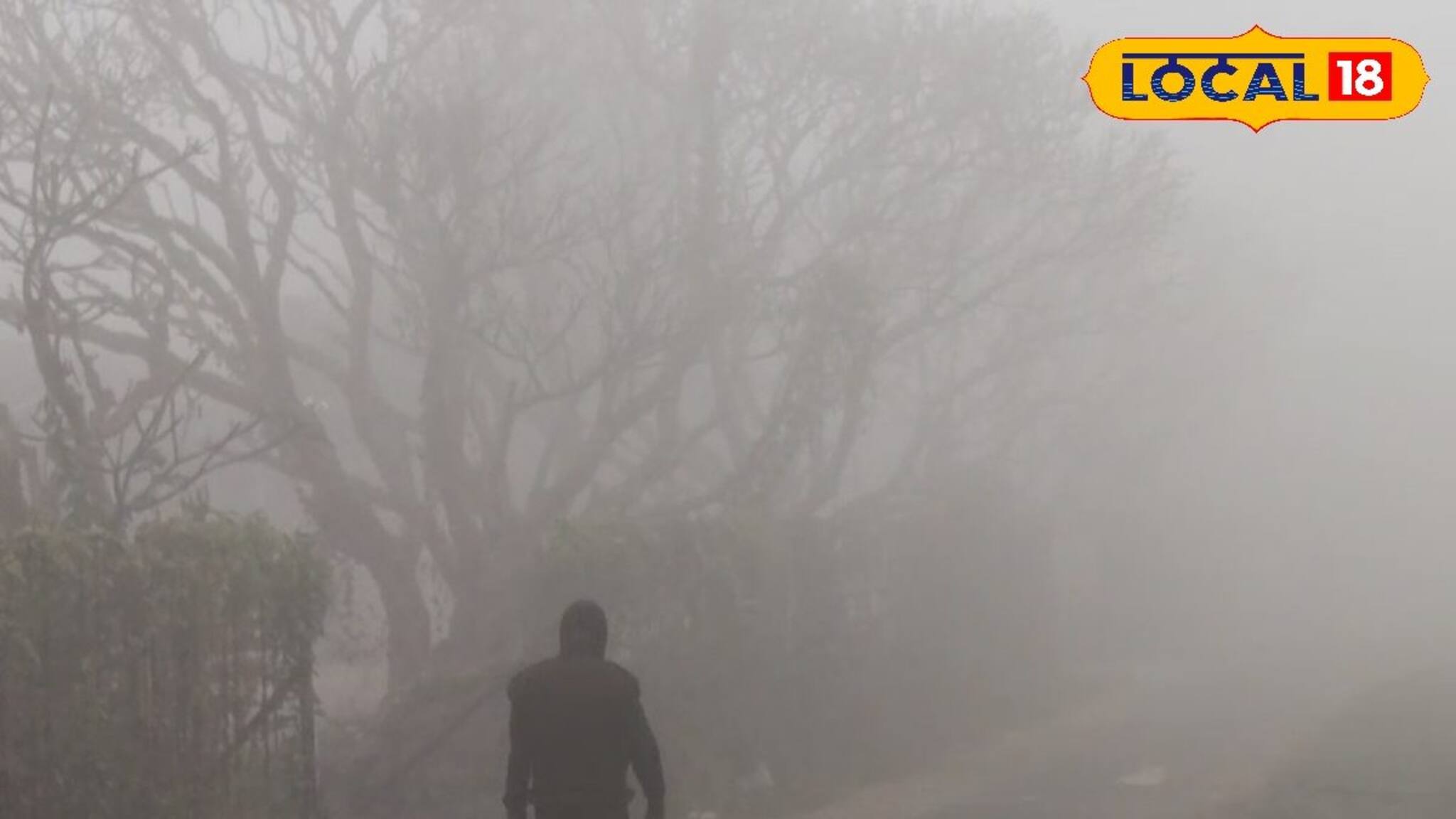 শীতের সকালের ঘন কুয়াশা! পাহাড় প্রেমী বাঙালিকে মনে করাচ্ছে দার্জিলিংয়ের কথা