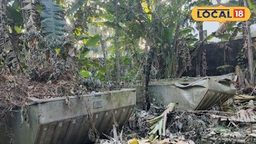 আগাছাপূর্ণ