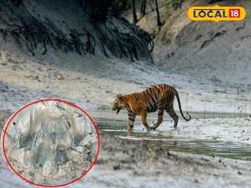 আবারও