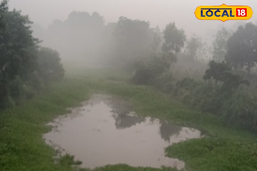 কুয়াশার দাপট কিছুটা কমলেও আকাশ মেঘলা গৌড়বঙ্গের জেলাগুলির। সঙ্গে বইছে উত্তুরে হাওয়া। কুয়াশা কমলেও ব্যাপক ঠান্ডা জেলাগুলিতে।