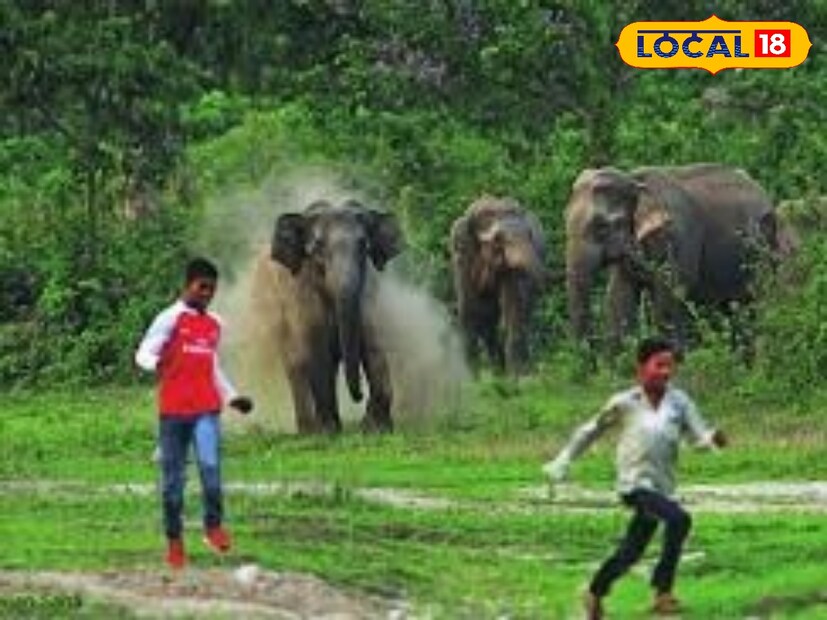 হাতি ঢুকলেই চাউর হয়ে যাচ্ছে এলাকায় হাতি ঢুকে পড়েছে। কিন্তু কি ধরনের হাতি তা কিন্তু আমরা কেউ জানতে পারছি না। তাই আমরা হাতির স্বভাব, চরিত্র ও আকৃতির উপর নির্ভর করে তাদের নামকরণ করেছি। ফলে আমরা সহজে বুঝতে পারছি কি ধরনের হাতি এলাকায় ঢুকেছে সে এলাকায় কোনও ক্ষতি করতে পারে না সে খাবারের সন্ধান করেই এলাকা ছেড়ে চলে যাবে। হাতি নামকরণের ফলে আমরা সহজে হাতিকে চিহ্নিত করে এলাকা ছাড়া করতে পারছি। এবং যদি কোন আক্রমণত্ব হাতি হয় তাহলে আমরা নিজেদের নিরাপদ করতে পাচ্ছি। খাবার সন্ধানে কখনওকখনওরাস্তায় গাড়ি আটকে খাবারের খোঁজ করে।
