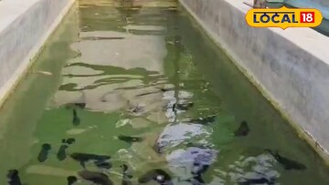 পুরসভার