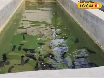 পুরসভার