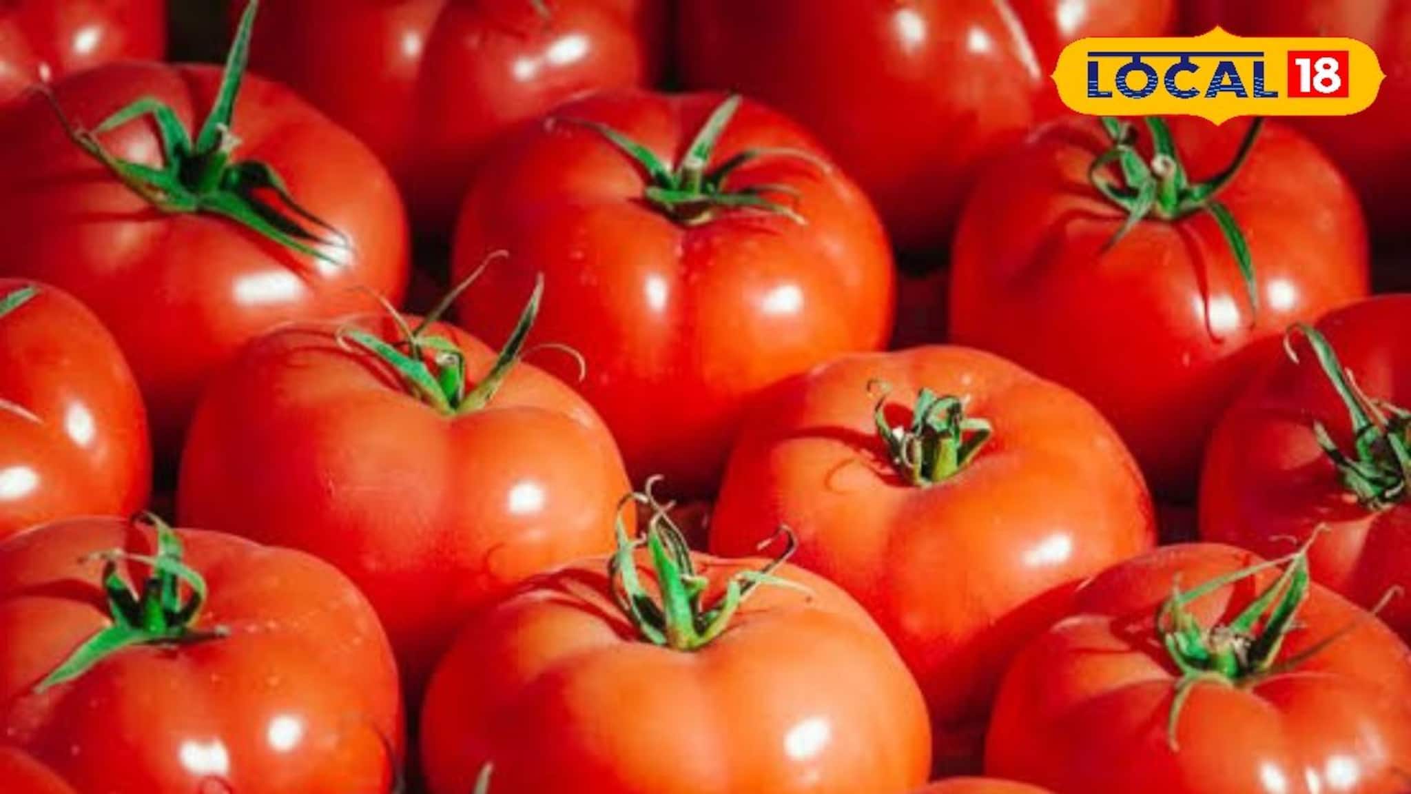 রোজ একটা টম্যাটো খেলে কি হবে জানেন? চিকিৎসকের মত জানলে চমকে যাবেন