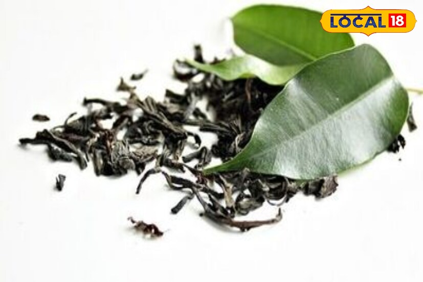 বিউটিশিয়ান শুভব্রত রায় বলেন,চুলের কন্ডিশনার হিসাবেও কিন্তু চা পাতার বহু গুণ রয়েছে। চা তৈরির পর পাতাগুলি ভিজিয়ে নিন জলে। এরপর যখন শ্যাম্পু করবেন. তখন শ্যাম্পু করার পর ওই জল ঢেলে নিন চুলে। এতে চুল হবে উজ্জ্বল ও সতেজ! 