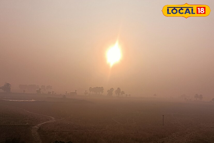 আবহাওয়া দফতর সূত্রে জানা গিয়েছে, বর্তমানে জেলাগুলির সর্বনিম্ন তাপমাত্রা ১৪ ডিগ্রী সেলসিয়াসের আশেপাশে রয়েছে। সর্বোচ্চ তাপমাত্রা ২৫ ডিগ্রি সেলসিয়াস পর্যন্ত ওঠার সম্ভাবনা রয়েছে। চলতি সপ্তাহে তাপমাত্রা আরও কমতে পারে।