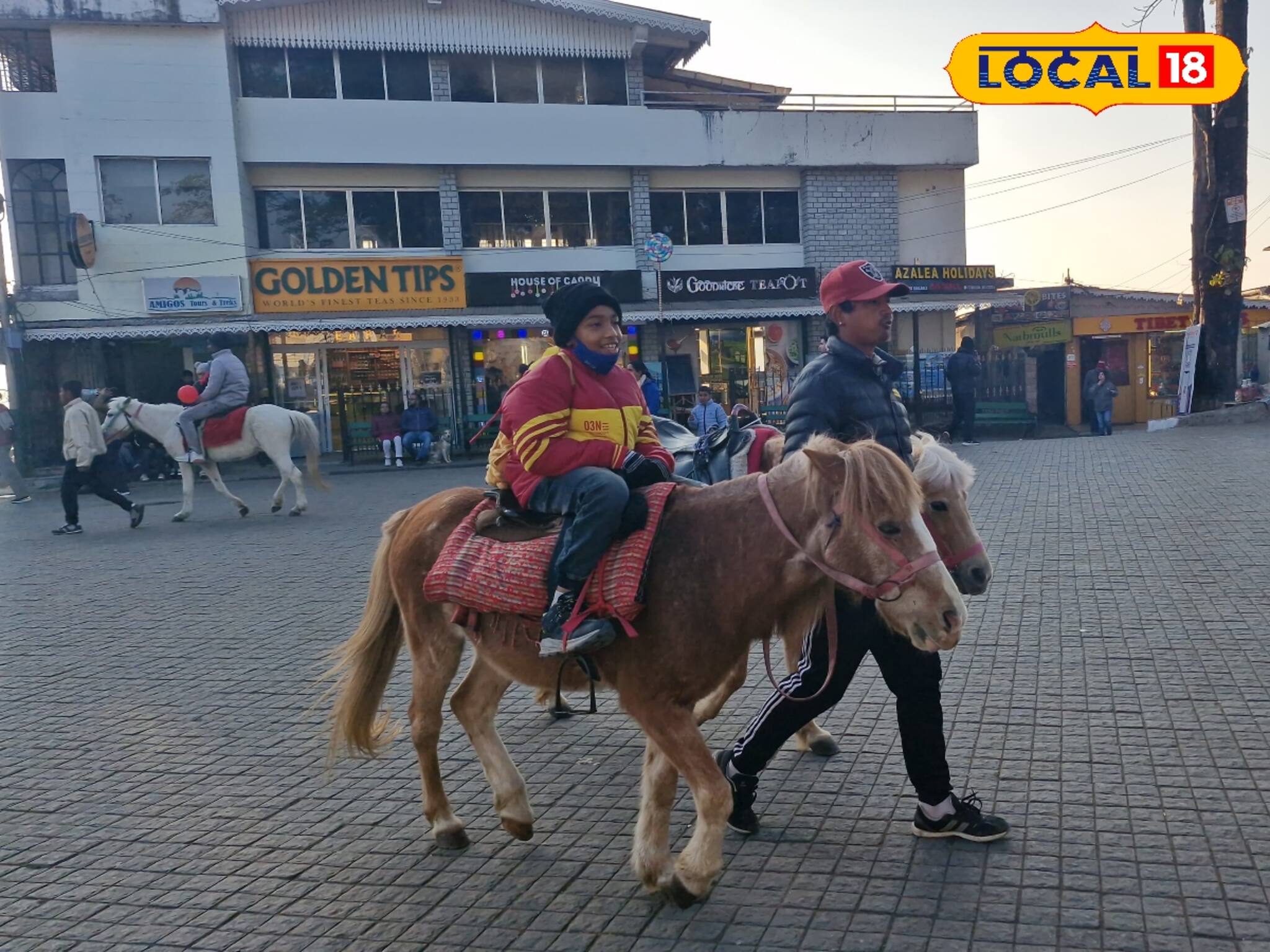 ব্রিটিশ আমলের সেই ঘোড়া আজও পেট চালায় পাহাড়ের মানুষের! হর্স রাইডিং বড় আকর্ষণ পর্যটকদের