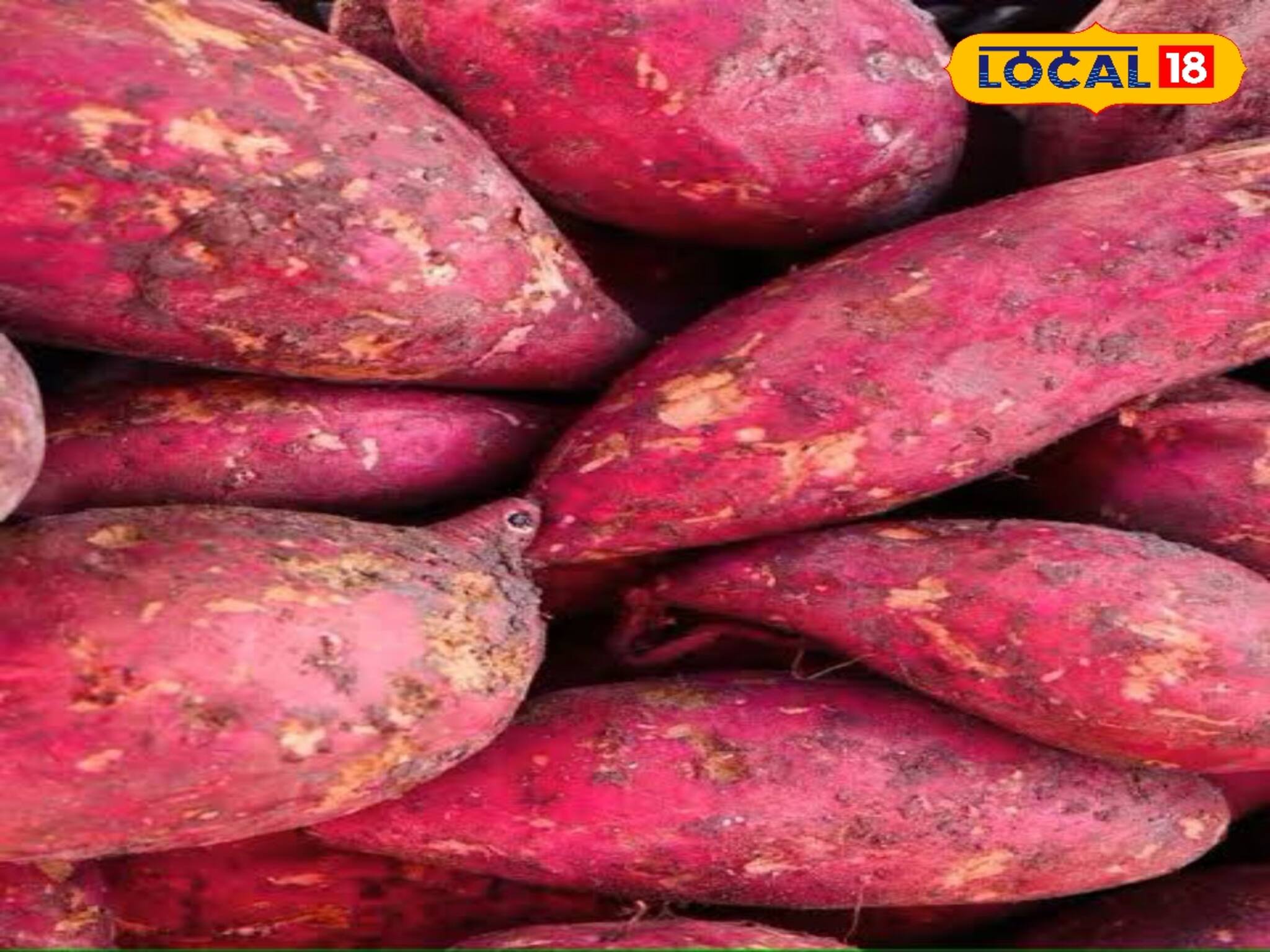 শরীর গরম রাখতে চান? রান্নাঘরের এই সবজিতেই লুকিয়ে যৌবন ধরে রাখার চাবিকাঠি