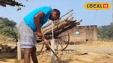 জঙ্গলমহলে