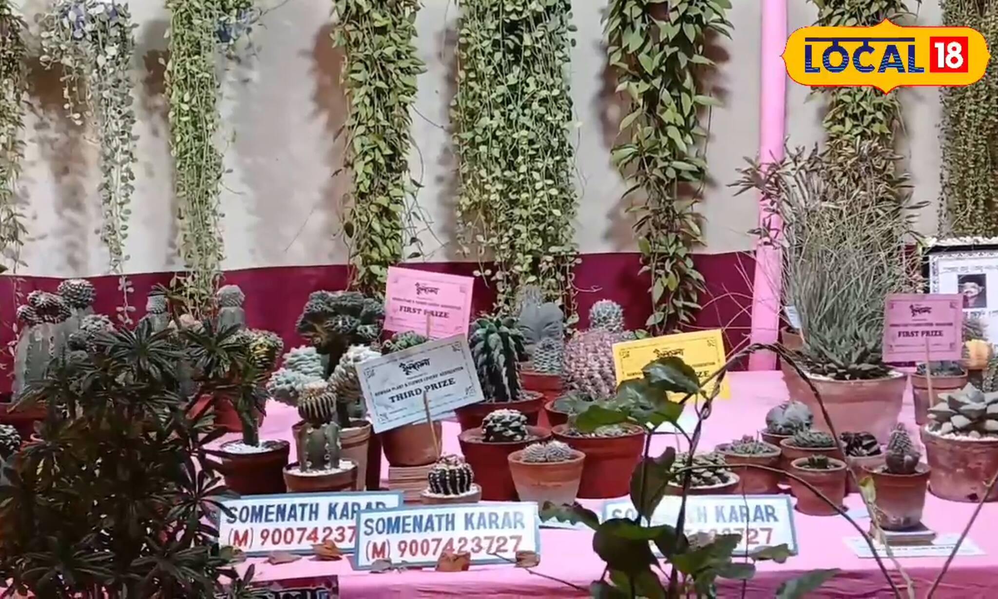 কয়েক লক্ষ টাকা মূল্যের ক্যাকটাস! এবার হাওড়া ফুল মেলার অন্যতম আকর্ষণ