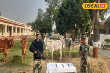 সম্পর্কের টানাপড়েনের মধ্যেই ভারত-বাংলাদেশ সীমান্তে চলল গুলি! নতুন করে উত্তেজনা