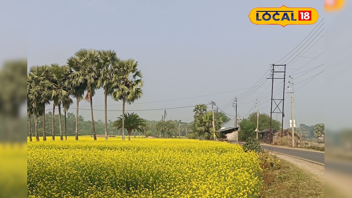 Picnic Spot: সর্ষের ক্ষেতে ‘শাহরুখ-কাজল’ হবেন নাকি? কলকাতার খুব কাছে শান্ত-নিরিবিলি এই স্পট প্রেম-ভ্রমণের আদর্শ! জানুন