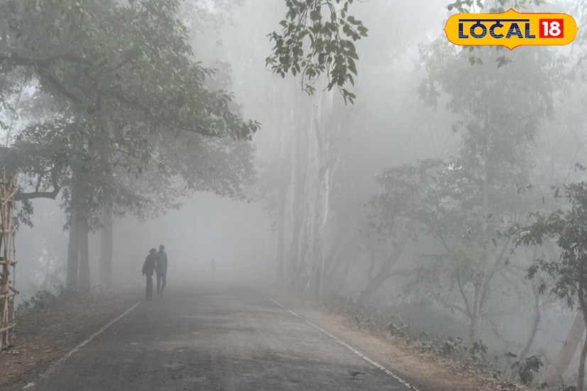 চলতি সপ্তাহে গৌড়বঙ্গের জেলাগুলির তাপমাত্রা আরও কমতে পারে। সঙ্গে ঠান্ডার দাপট বাড়তে পারে।‌ আগামীতে মাঝেমধ্যে আকাশ মেঘলা থাকার সম্ভাবনা রয়েছে।