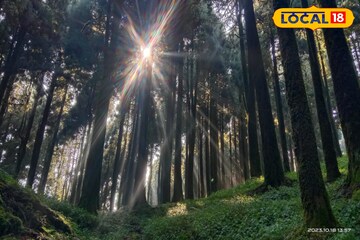 বিয়ে করেই পকেটে টান! কম খরচে এটাই হানিমুনের সেরা ঠিকানা, জমাটি রোম্যান্সে ভাসুন