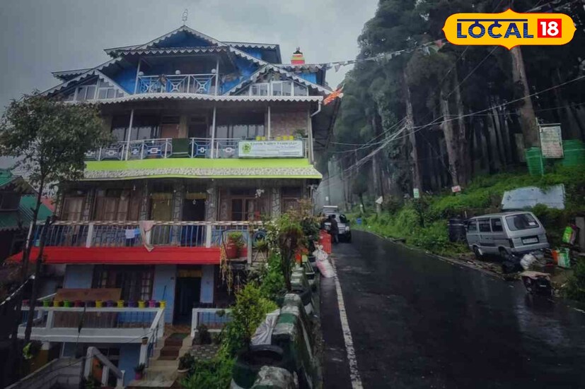 *যারা একটু আধটু অ্যাডভেঞ্চার ভালবাসেন তাদেরও এই জায়গাটা মন্দ লাগবে না। জঙ্গলের মধ্য়ে দিয়ে রাস্তা। অনেকটা এগোলে তবে ভিউ পয়েন্ট। এটাই হাওয়াঘর। সেখান থেকে উন্মুক্ত কাঞ্চনজঙ্ঘা।