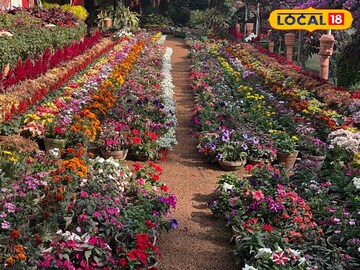 Birbhum Tourism: শহরের মাঝে শান্তির ঠিকানা, ২-৩ দিনের জন্য পারফেক্ট দক্ষিণ হাওয়া, একবার গেলে ফিরতে ইচ্ছে করবে না