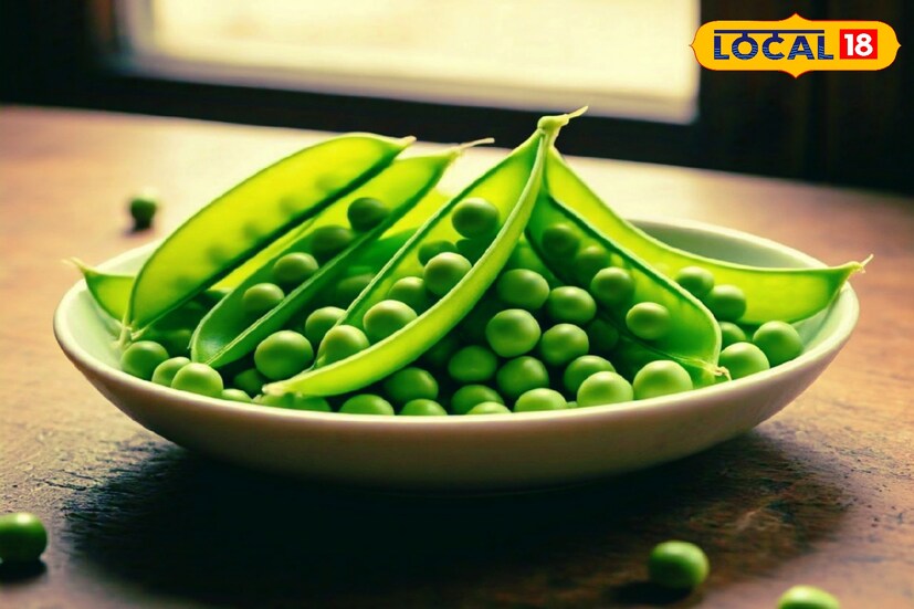 শীতের সময় বাজারে একাধিক সবজির সম্ভার দেখতে পাওয়া যায়। এখন বাজারে মিলছে মটরশুটি। অনেকে খোসাসমেত মটর এনে খোসা ছাড়িয়ে সংরক্ষণ করেন। শীতের সময় বাজারে একাধিক সবজির সম্ভার দেখতে পাওয়া যায়। এখন বাজারে মিলছে মটরশুটি। অনেকে খোসাসমেত মটর এনে খোসা ছাড়িয়ে সংরক্ষণ করেন।