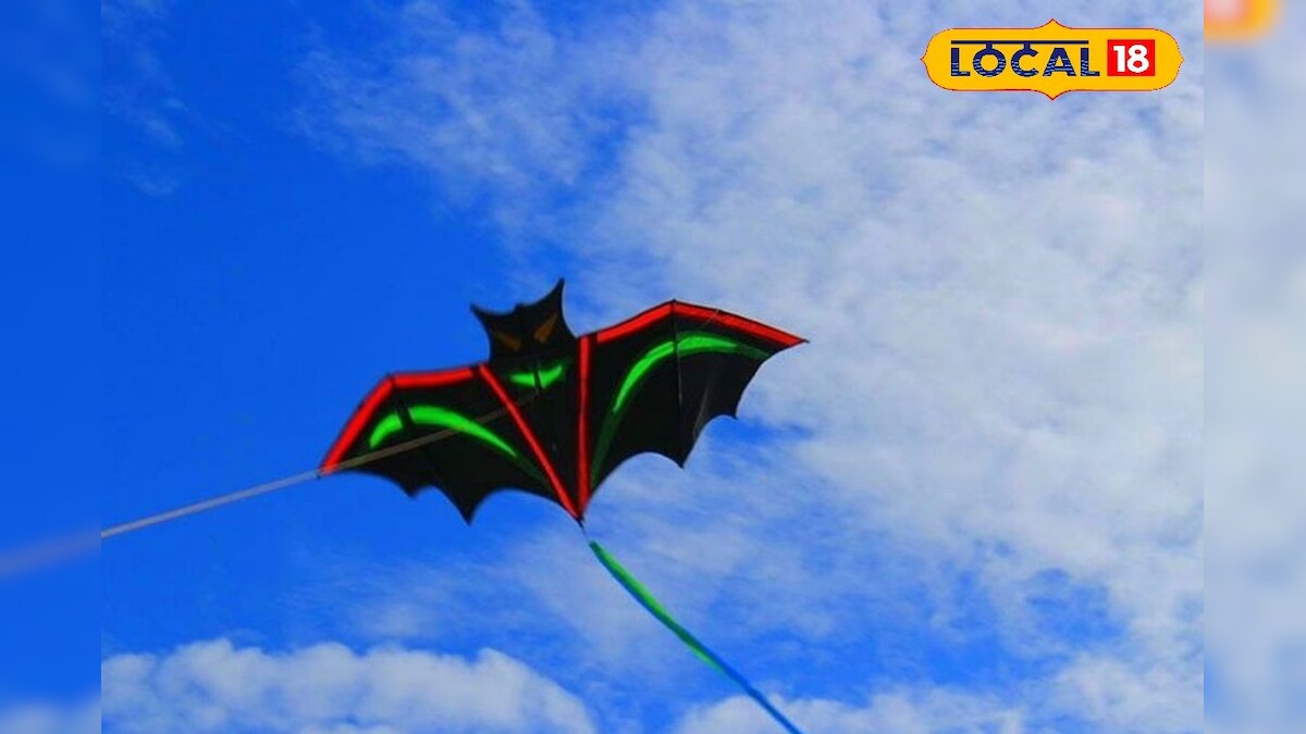 দেখুন চোখ ধাঁধানো সিঙ্গাপুরের ঘুড়ি, বিদেশের আকাশেও ওড়ে রংবেরঙের ঘুড়ি