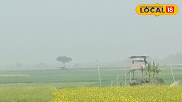 বিজিবির