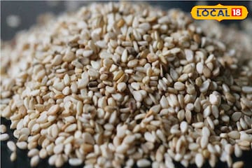 হজম, হাড়, কোলেস্টেরল, ডায়াবেটিসের সমস্যা? এক চিমটে এই জিনিসেই রোগ মুক্ত হবেন হজম, হাড়, কোলেস্টেরল, ডায়াবেটিসের সমস্যা? এক চিমটে এই জিনিসেই রোগ মুক্ত হবেন